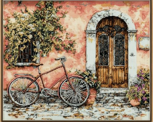 AYAOYANGGO 11CT Kreuzstich Set Stickset „Straßenszene“ Mit Retro-Architektur，Kreuzstich-Set Für Erwachsene Mit Nadeln，Schereneinfädler，Vordruck Für Die Wanddekoration Zu Hause 40x50cm