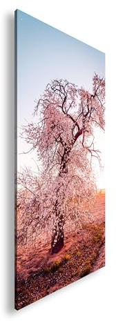 Leinwandbild Blühender Baum in Rosa – ein Frühlingspoem auf weiter Flur. Panorama 100x50cm XXL Wandbild auf Keilrahmen/Kunstdruck/Bild Wohnzimmer Dekoration