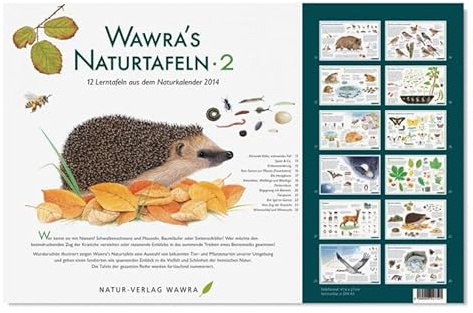 Wawra´s Naturtafeln Set 2 - mit 12 Lerntafeln im A3-Format zum Entdecken, Beobachten, Bestimmen - 41,6 x 27 cm