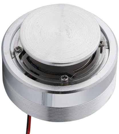 Marhynchus Altavoz de Resonancia de Todas Las Frecuencias de 50MM y 2 Pulgadas, Altavoz de Graves Potentes para Ordenador y Móvil de Acero (4Ω 25W)