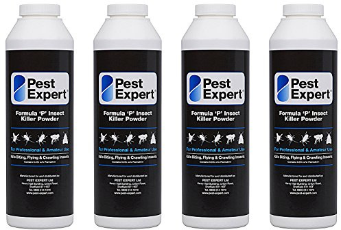 Pest Expert Formula 'P' Wasp Killer Powder XL 4 x 300g pack size (HSE approved and tested - professional strength product)