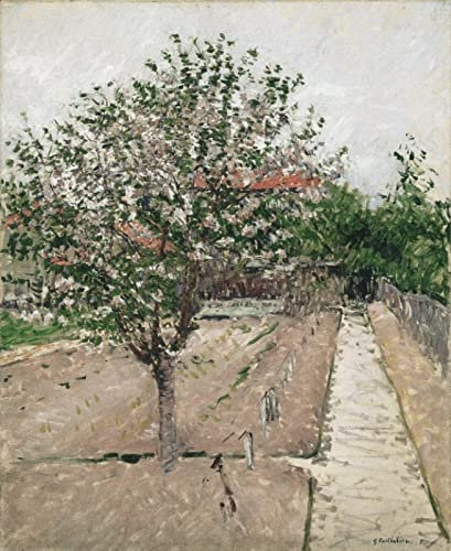 Zhyaunz 5D DIY Diamant Malerei Apfelbaum in Blüte Malen nach Zahlen Kits Gustave Caillebotte Diamond Painting Stickerei Bilder Kunsthandwerk Strass 40x50cm