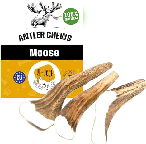 RF - Deer Corno di alce per cani, 100% naturale Osso di Alce per Cani Masticativi Naturali, Giochi e Snack Bocconcino per Cane Taglia XXL HARD Version 220-280 g 18-21 cm 1 pezzo