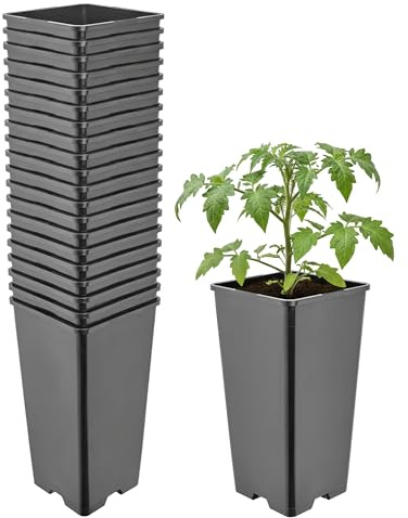 Garronda Maceta de plástico Alta 11 x 11 x 21,5 cm (2 L) Set de 20 Cuadrada con Orificios de Drenaje Maceta de PP para jardín Invernadero balcón Cultivo Interior y Exterior Negro GD-0201