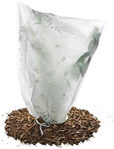 HaGa-Welt.de Housse d'hivernage Non tissée 50 g/m² Protection Contre Le Gel des Plantes en Pots et rosiers 55cm x 75cm Blanc