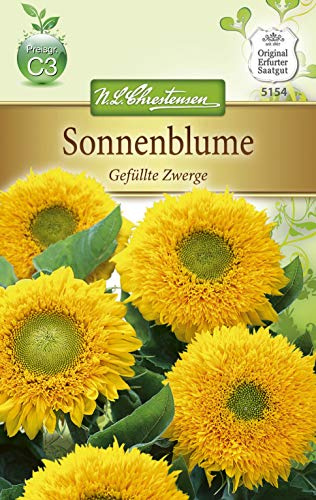 Chrestensen Sonnenblume 'Gefüllte Zwerge'