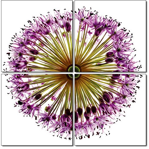 Haus und Deko Wandbild 4er-Set lila Feld Wiesen Blume Blüte Flower Mosaik 4-teilig Makro Fotodruck 4 Bilder auf Holzfaserplatte je 50x50 cm einfache Montage
