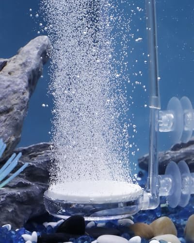 Pawfly Aquarium 6 cm Luftsteinscheibe Kleiner Mikroblasen-Diffusor‌ Blasenfreigabe-Werkzeug Kit mit Saugnapf Luftregelventil und Rückschlagventil Zubehör für Nano Luftpumpen kleine Eimer und Aquarien
