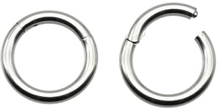 2 Stück 316L chirurgischer Edelstahl Scharnier Nasenringe Körper Piercing Reifen für Nasenloch Septum Labret Lippe Helix Knorpel Daith Tragus Rook Female BCR Männer PA Mehrere Piercings Groß
