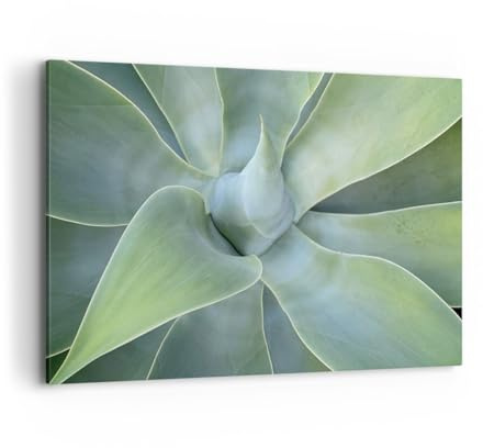 ARTTOR Bilder auf Leinwand 120x80cm Wandbild Botanik Blumen - 5451 | Saftig Agave Groß XXL Wanddekoration Wohnzimmer Schlafzimmer Küche Wanddeko Wand Kunstdruck Wandkunst Wall Decor ARTTOR