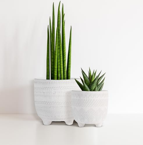Olly & Rose set vasi in ceramica bianco