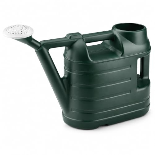 Anikees Watering Can, 6.5L, Green, Plastic, Ergonomic Handle, Detachable Rose Spout, for Garden
