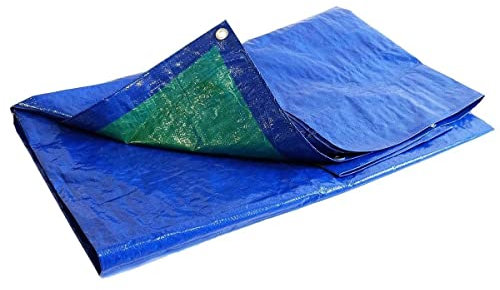 TECPLAST Bâche de Protection 6x10 m SR150MU Bleue et Verte - Haute Qualité - Bâche d'extérieur imperméable avec Oeillets