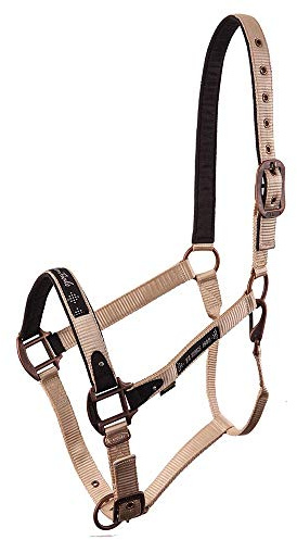 BR 432151 Vivid Pferde Halfter mit Riemen aus Nylon - Champagne