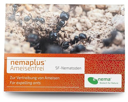 Ameisen bekämpfen mit e-nema SF Nematoden | 50 Mio. für 50 m² oder bis zu 50 Nester | Ameisenfrei