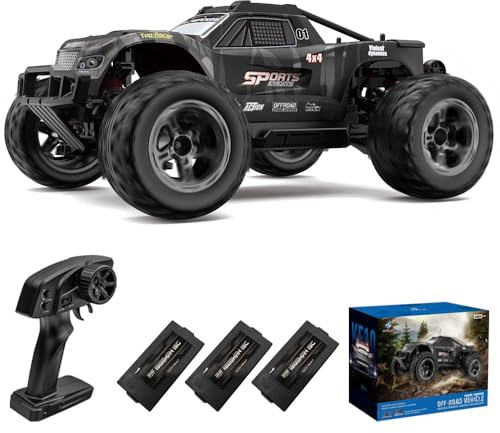 Teeggi Ferngesteuertes Auto 50km/h, 1:10 RC Hohe Geschwindigkeit Offroad Drift Rennauto, 2.4G Hochgeschwindigkeits Motor 4WD Off Road Race Buggy für Erwachsene, 3 Batterien(Grau)