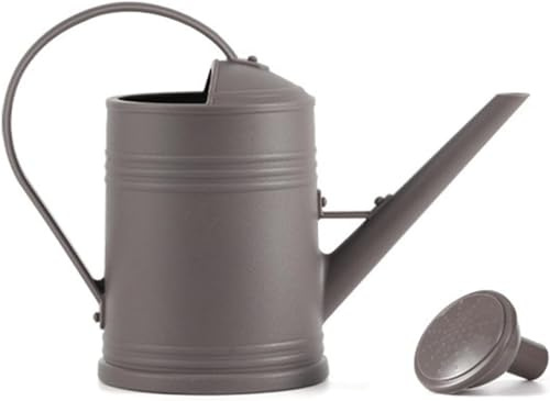 Youning - Arrosoir de jardin de 2 L en plastique - Petit arrosoir - Arrosoir pour plantes d'intérieur et fleurs - Arrosoir avec pomme amovible - Arrosoir en plastique pour l'intérieur et l'extérieur