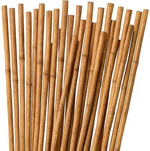 25 Tutores de Bambú para Plantas 120 cm (Ø 10–12 mm) | Estacas de Jardín y Cañas para Huerto | Soportes Resistentes para Macetas, Flores y Cultivos | Color Natural | Eco-Friendly