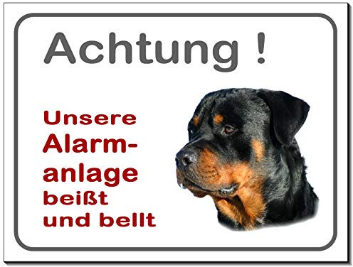 Rottweiler-Alarm-Schild-3 Größen-Aluminium Verbund-Hund-Tierschild-Warnschild-Hinweisschild (1451-46 -30 x 20 cm mit Löcher)
