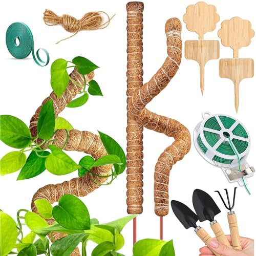 Rankhilfe Monstera 70CM Pflanzstab Pflanzenstab Rankhilfe Zimmerpflanzen für Eine Vielzahl von Kleinen und Mittelgroßen Kletterpflanzen Geeignet 2STK (A)