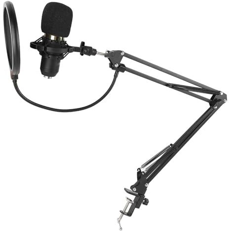 Omquot Microfono a Condensatore da Studio Professionale per Registrazioni e Streaming Nitidi, per Utenti di Computer PC e Telefoni Cellulari
