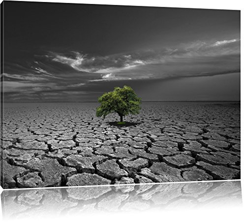 Pixxprint einsamer Baum auf ausgetrocknetem Boden B&W, Größe: 100x70cm, Leinwandbild, fertig gespannt, Wandbild, Dekoration, Kunstdruck, kein Poster