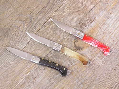 Generico COLTELLO 11 CM SARDO artigianale Pattada MANICO 3 tipoligie materiale portachiave (Corno di bufalo)