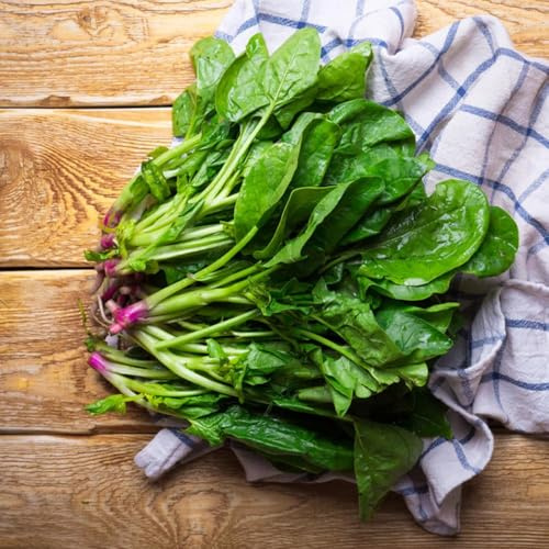 400 piezas semillas espinaca perennes resistentes, de jardín jardín, salada de balcon