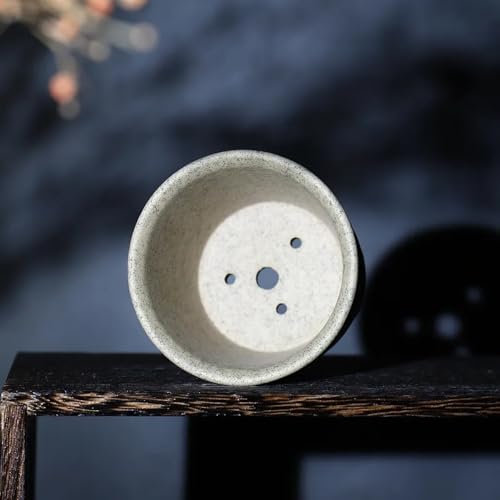 YTDJJWLS Crude Pottery - Vaso per piante grasse, colore: viola, traspirante, decorazione per la casa e il giardino