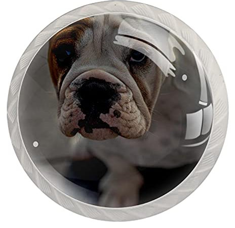 Maniglia per cassetto con bullone, con viti, 4 pezzi