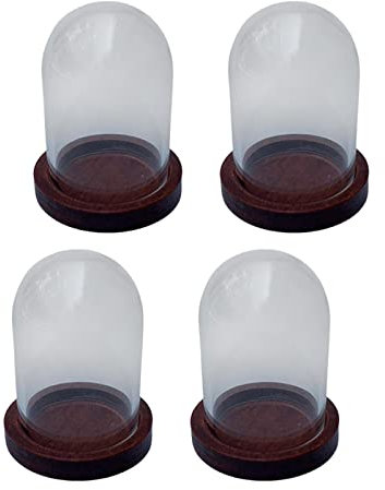 ＡＷＨＡＯ Clear Glass Cloche Dome Flower Cover Container Mini Terrarium Doll House Decor Miniature Cloche Bell Jar Display Case for Valentine's Day, Red