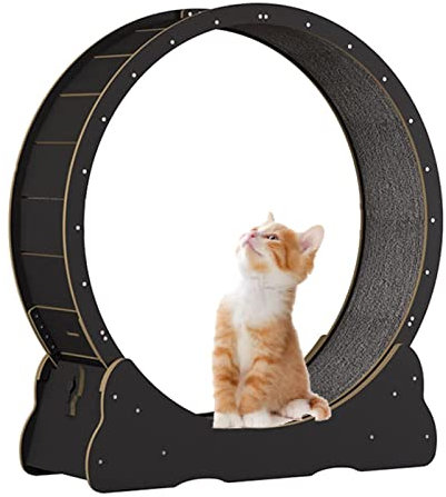 Laufrad für Katzen, Katzen-Laufrad, Laufband, schwarzes Katzen-Laufrad aus Holz mit Teppichboden, für Hauskatzen, kleine/mittlere/große Katzen-Laufrad-Spielzeug (Größe: 100 x 36,5 x 107 cm)