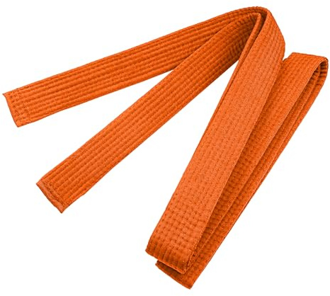 TOPTIE Arts Martiaux Ceinture de classement Karaté Judo Taekwondo Ceinture double Wrap Ceinture Solide