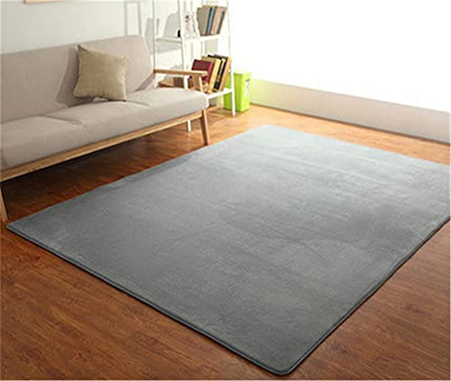Alfombra de Terciopelo Coral Grueso de Color sólido Calidad Grande gris claro Suave Lavable Antideslizante Grande Rugs Minimalista Moderna Sala De Estar Dormitorio Tatami Gateando Estera -100×200cm