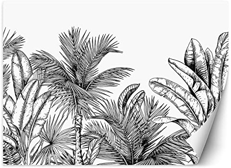 Feeby Papier Peint Intissé Exotisme Tropiques Esquisse 300x210 cm noir et blanc XXL Moderne Décoration Murale Tableaux Muraux Tapisserie Salon Chambre à coucher La jungle Les feuilles Des palmiers