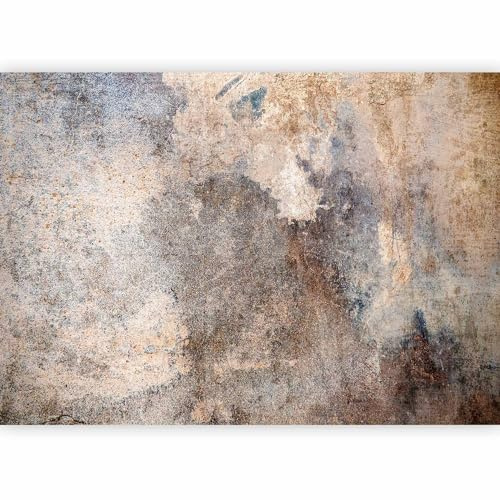 murando Fotomurales Hormigón 500x350 cm XXL Papel pintado tejido no tejido Decoración de Pared decorativos Murales moderna de Diseno Fotográfico Roca Abstracto beige f-A-10017-a-a