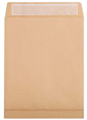 Clairefontaine 274540C - Karton mit 250 Versandtaschen Kraftbraun 260x330 mm, mit Rillen, dehnbar mit Falten 30 mm, selbstklebend, 120g, 1 Karton