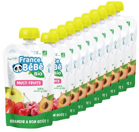 FRANCE BéBé BIO - Compote de fruits BIO en gourde dès 4 mois - Multi Fruits - Pack de 12 x 100g