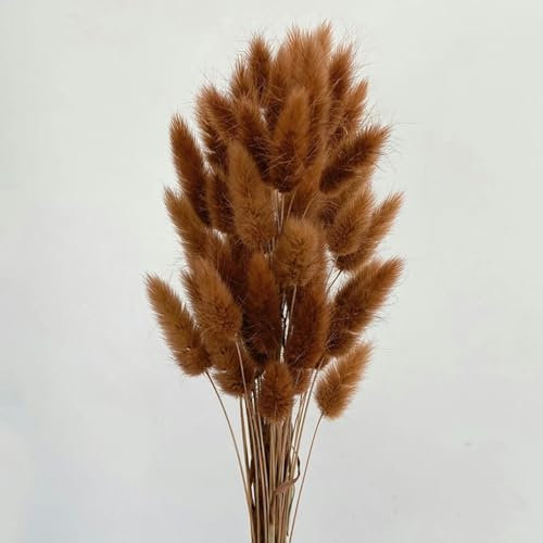 YLREAN 50 stücke Natur Bunny Kaninchen Schwanz Gras Getrocknete Blume Bouquet Hochzeit Party Decor Flauschigen Weihnachten DIY Blumen Arrangement-28