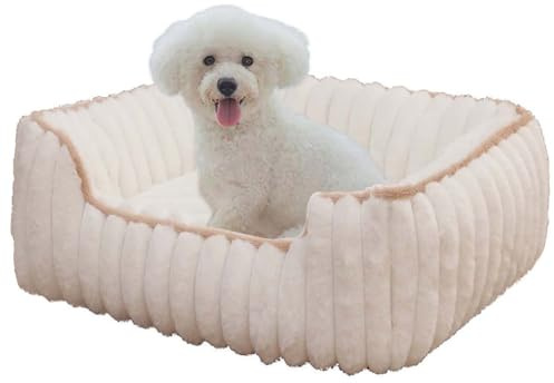 Grand lit orthopédique lavable pour chien, chat, chaton et chiot avec fond antidérapant (blanc, 60 x 50 x 14 cm)