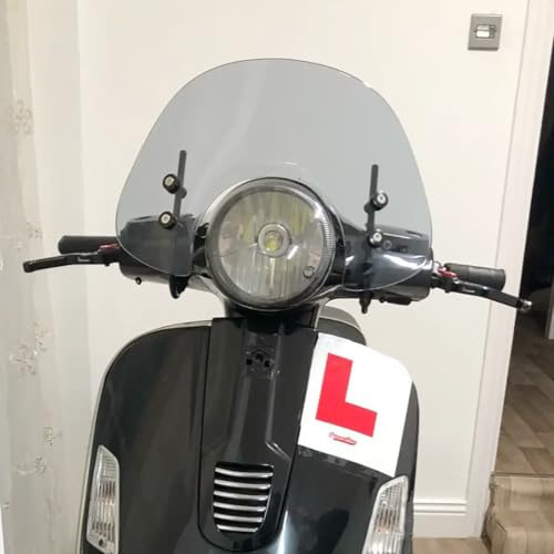 Motorrad Windschild Windschutzscheibe Mit Halterung für GT200 GTS250 GTS300, Windschutz Windabweiser (Geräuchert)