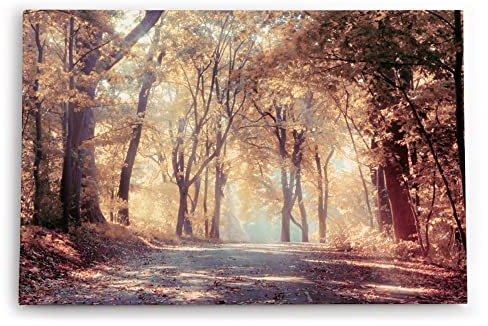 Paul Sinus Wandbilder Deko Kunstdruck 90x60cm Wald Waldweg Natur Bäume Sonnenstrahlen Herbst