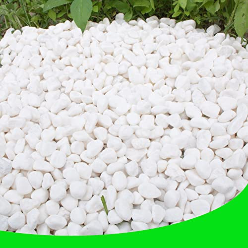 CJGQ Weiße Kieselsteine für Pflanzen, Gartenvasen, 3,2 kg, weiße Felsen, Kies, dekorativer Stein, 1,27 cm