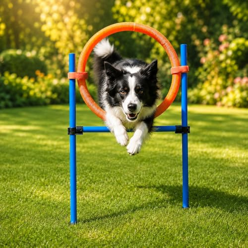vabiono Hunde Agility Sprungring Jump-Ring Hürde Reifen Activity Training Set F