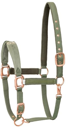 EQUESTRIAN QUEEN Athens 24SS Halfter für Pferde, klassisches Modell, gefüttert, strapazierfähiges Gurtband, Kunstledereinsätze, erhätlich in Pony, Vollblut, Warmblut (Grün, Pony)