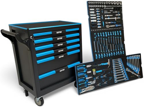 DeTec. Werkstattwagen bestückt | Werkzeugwagen 6 Schubladen 4 gefüllt | KFZ Werkzeugkasten mit Werkzeug | abschließbar mit hochwertigen Schaumstoff Werkzeugeinlegern