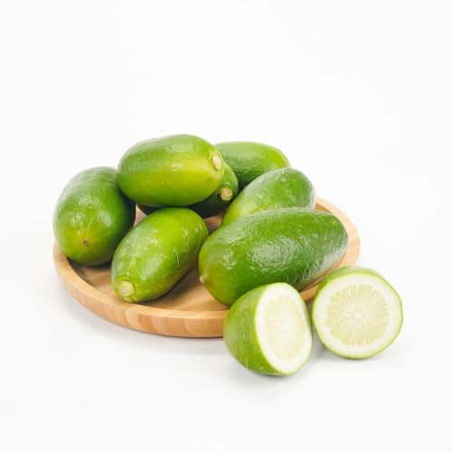 semi di limonero insalata da giardino resistenti, perenni resistenti, nani sono 10pcs