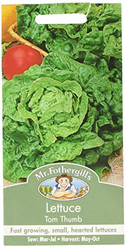 Mr Fothergill's 14947 Vegetable Seeds, Lettuce Tom Thumb