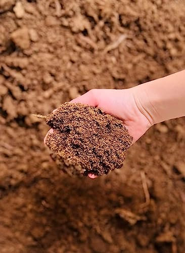 8kg Tourbe Blonde de sphaigne – Support de Culture Naturel – Fabrication terreau, paillage, amendement – Conforme NF U 44-551