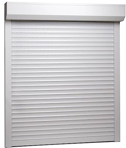 BLASE Avvolgibile Tapparelle,Tapparella Avvolgibile,Tapparella a Doppio,Design a Strisce Trasparenti,Personalizzala con la Taglia Giusta e Le tue Misure corrette,in Alluminio, Bianco 80 x 100 cm